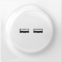 smart USB Outlet